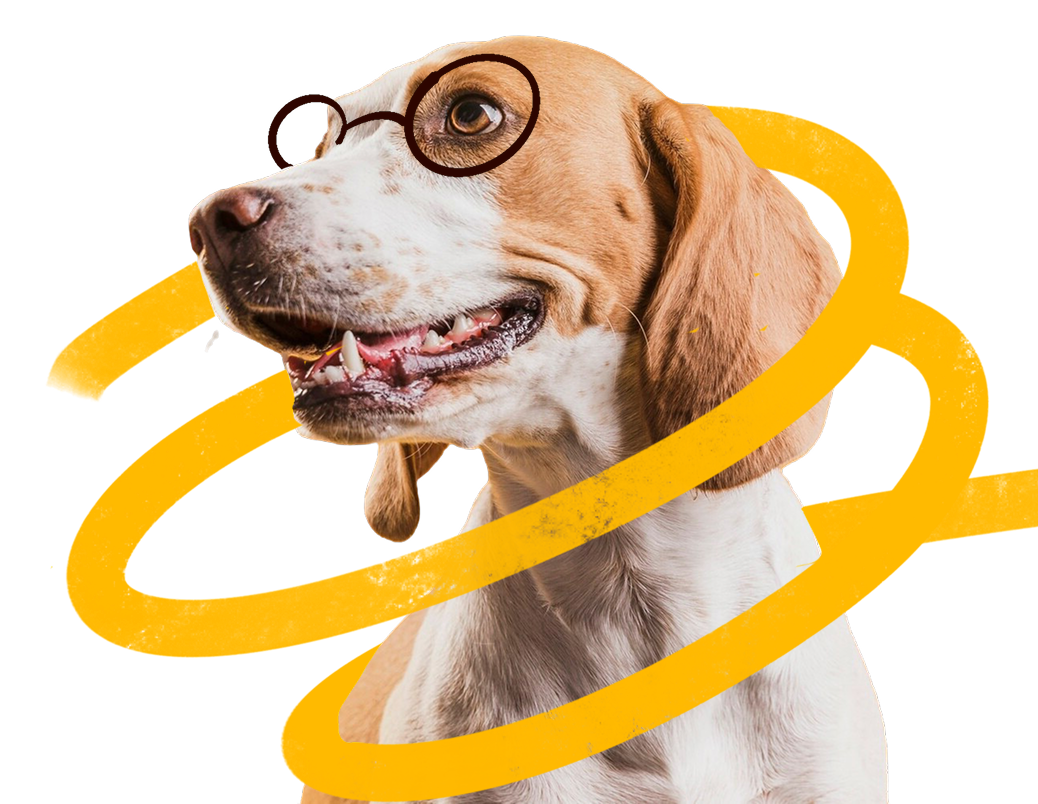 Hero